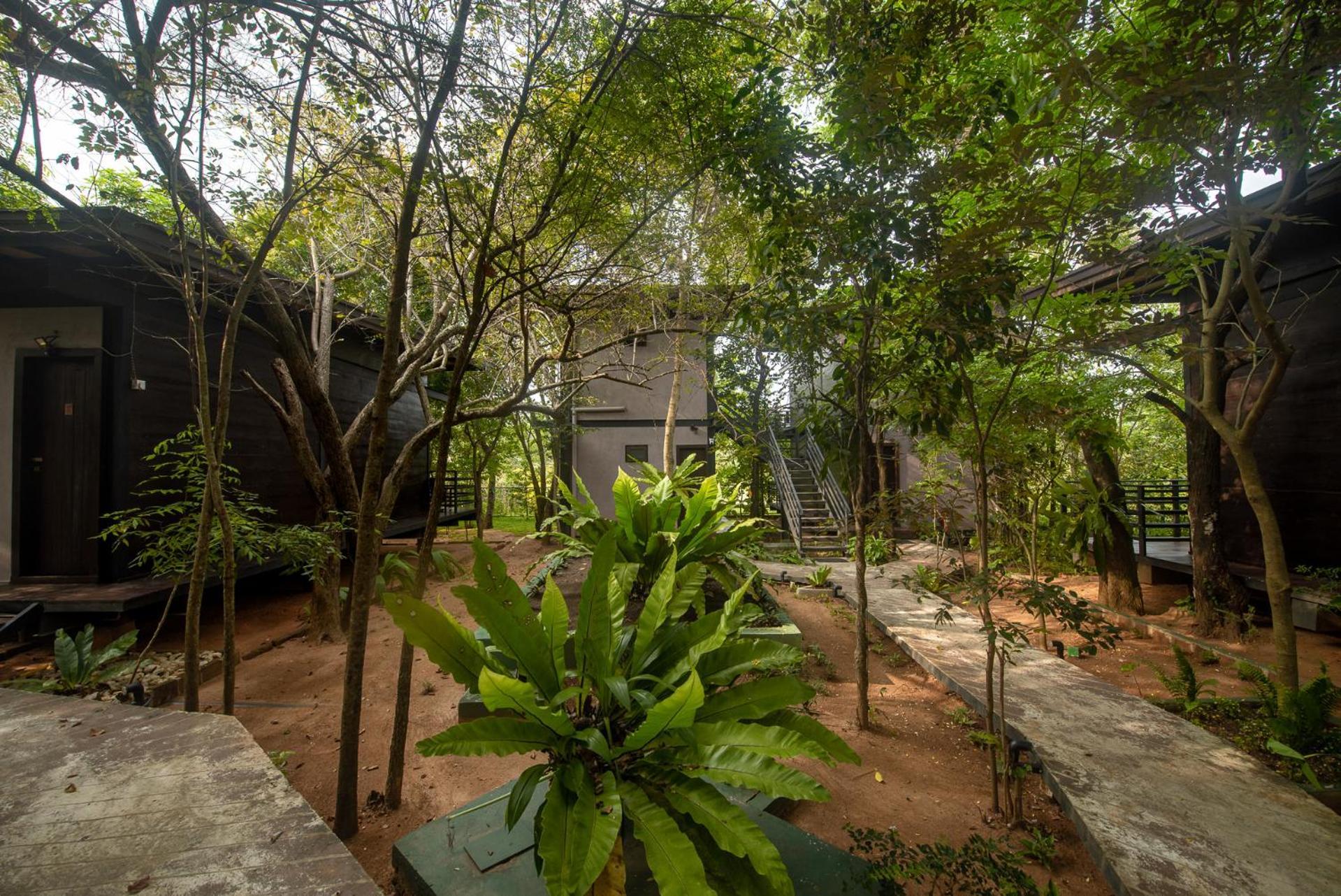 Atha Resort Sigiriya Luaran gambar