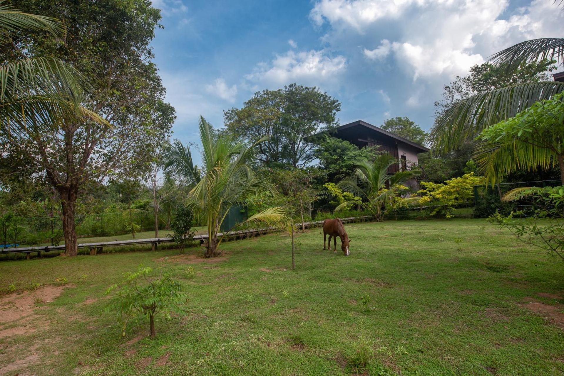 Atha Resort Sigiriya Luaran gambar